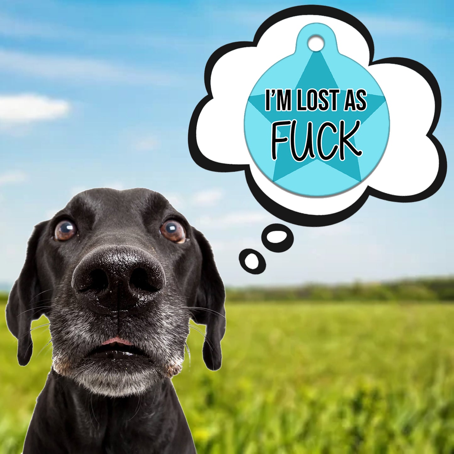 Lost As Fuck Blue - Pet ID Tag