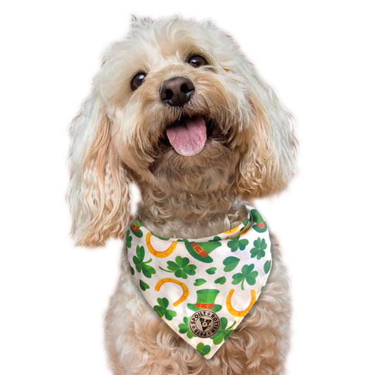 The Dublin - Lucky Irish Tied Dog Bandana