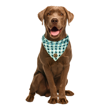 The Salisbury - Mice Blue Tied Dog Bandana