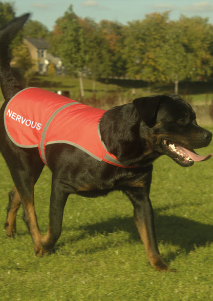 'Nervous' High Visibility Lightweight Coat