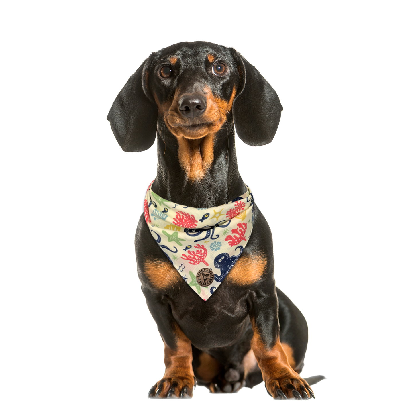 The Weymouth - Underwater Octopus Tied Dog Bandana