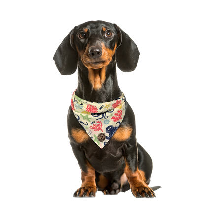 The Weymouth - Underwater Octopus Tied Dog Bandana