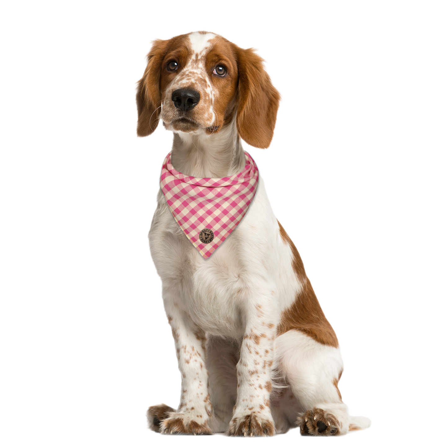 The Norfolk - Gingham Pink Tied Dog Bandana