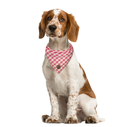 The Norfolk - Gingham Pink Tied Dog Bandana