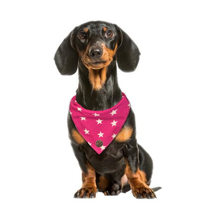 The Padstow - Large Star on Pink Tied Dog Bandana