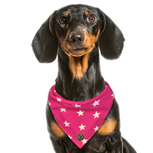 The Padstow - Large Star on Pink Tied Dog Bandana