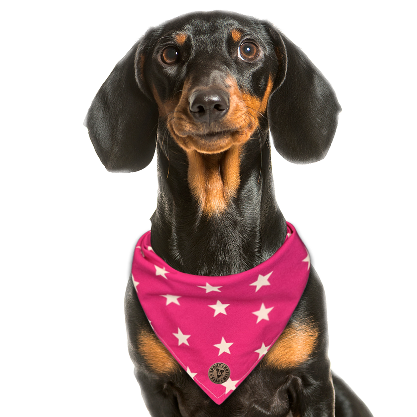 The Padstow - Large Star on Pink Tied Dog Bandana