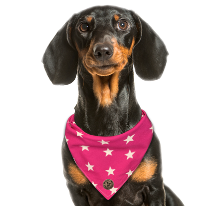 The Padstow - Large Star on Pink Tied Dog Bandana