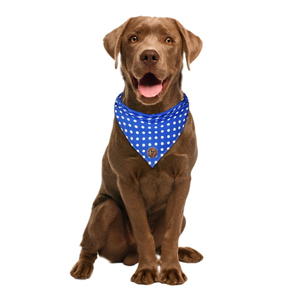 The Cambridge - Polka Dot Blue Tied Dog Bandana