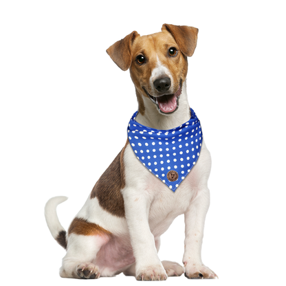 The Cambridge - Polka Dot Blue Tied Dog Bandana