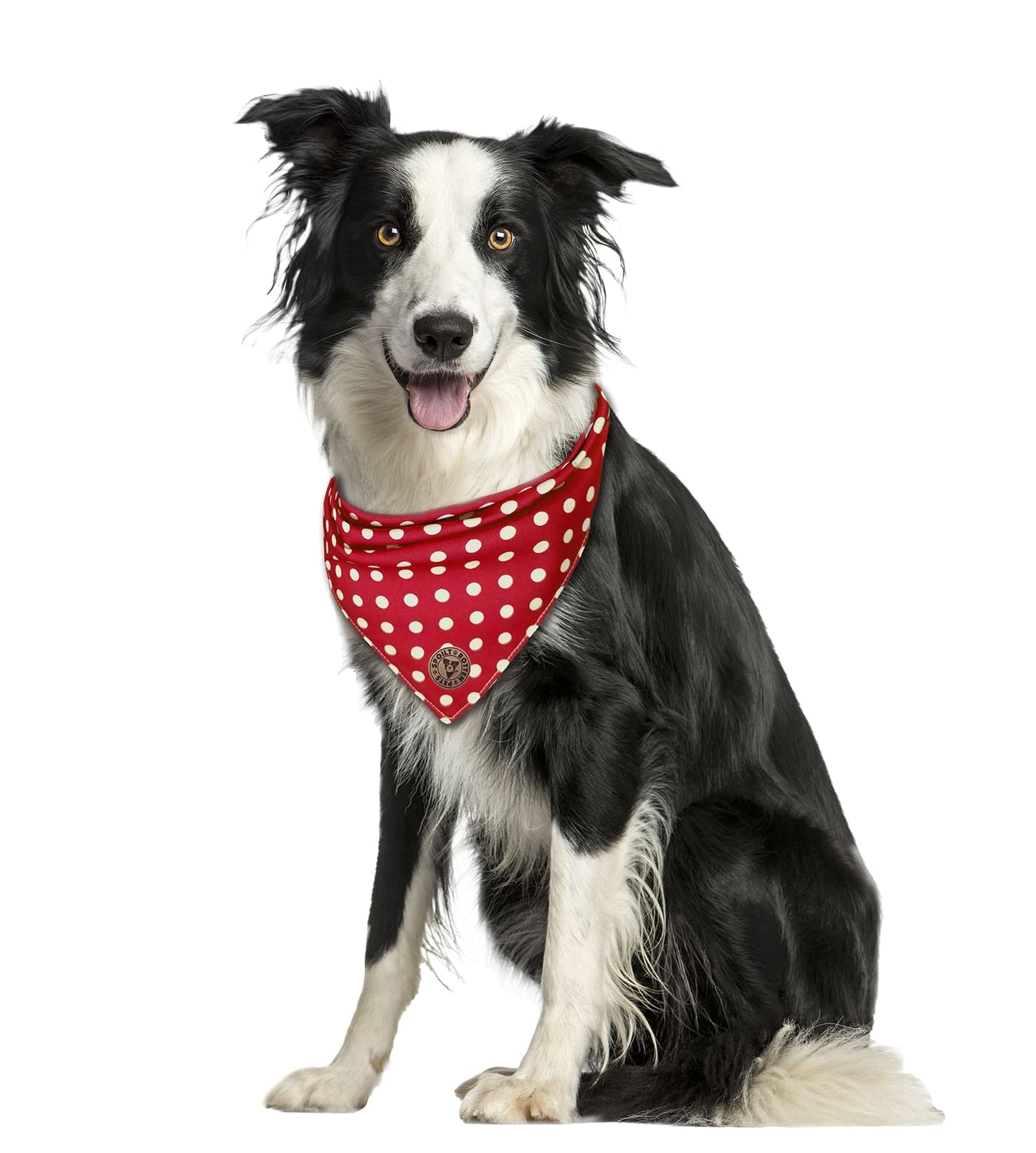 The Dover - Polka Dot Red Tied Dog Bandana