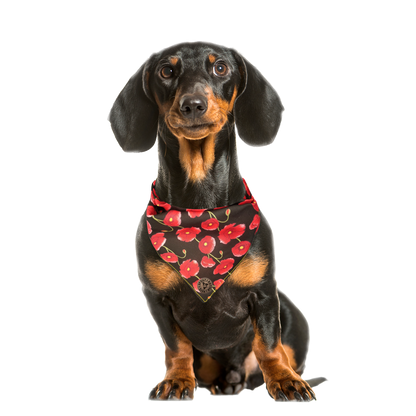 The Gloucester - Poppy Trails Tied Dog Bandana