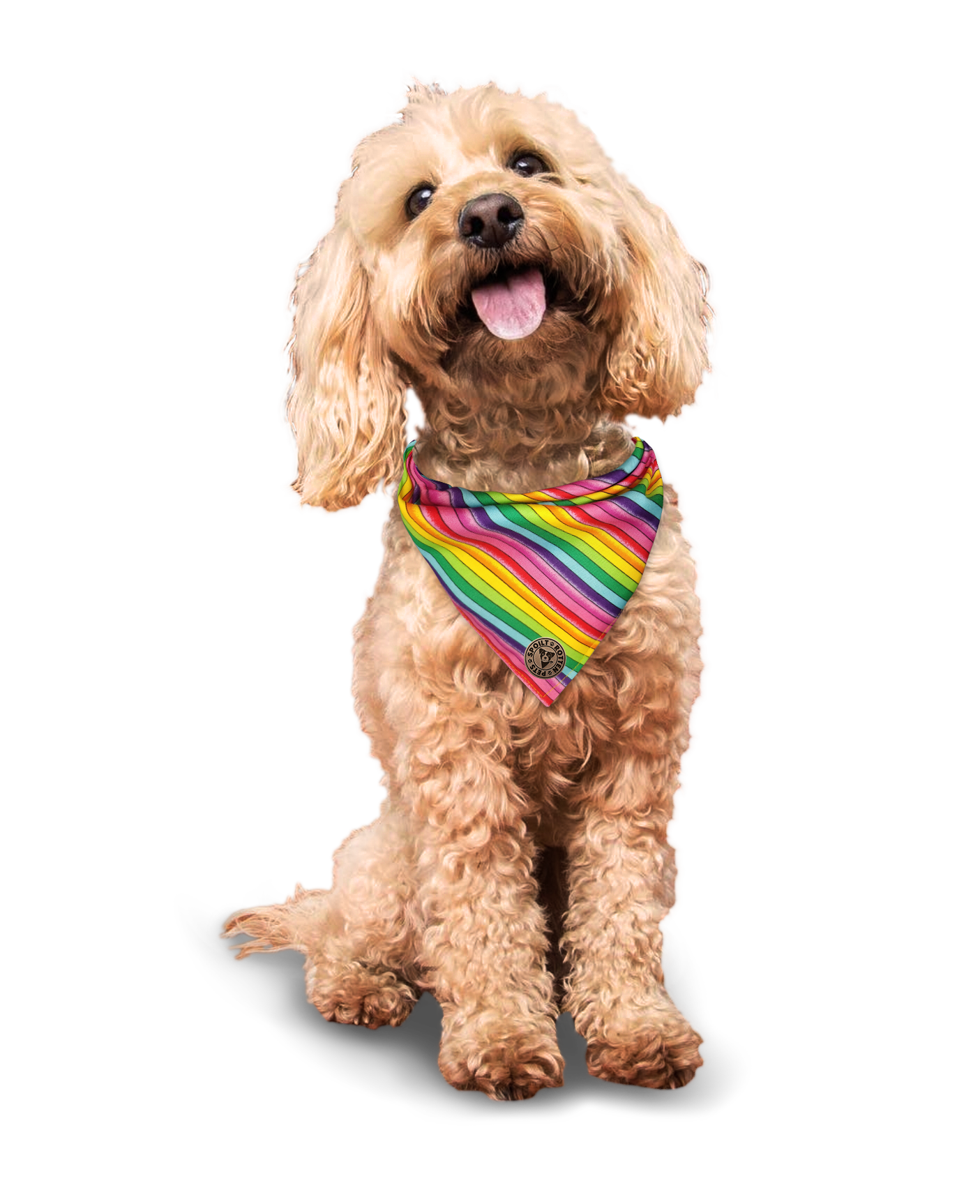 The Soho - Pride Thin Rainbow Tied Dog Bandana