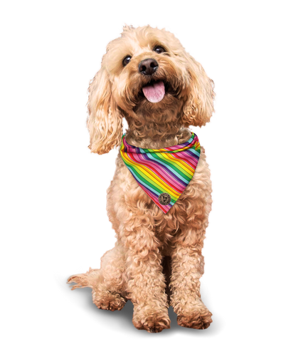 The Soho - Pride Thin Rainbow Tied Dog Bandana