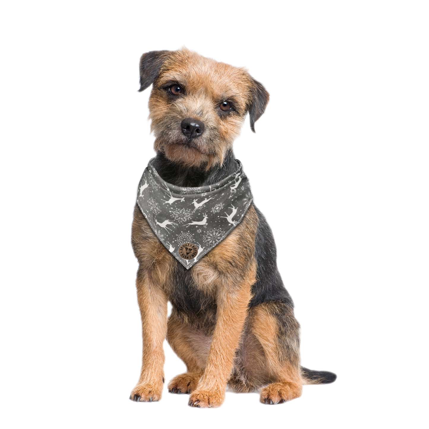 The Lambeth - Grey Stag Tied Dog Bandana