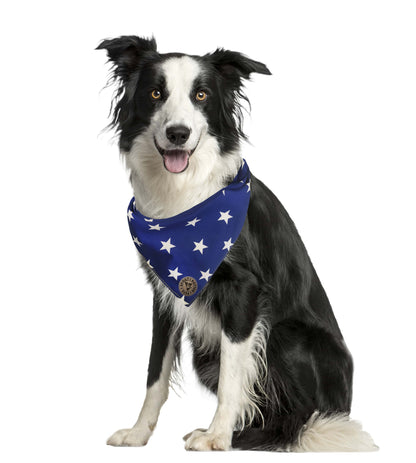 The Portsmouth - Large Stars Royal Blue Tied Dog Bandana