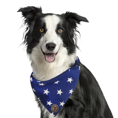 The Portsmouth - Large Stars Royal Blue Tied Dog Bandana