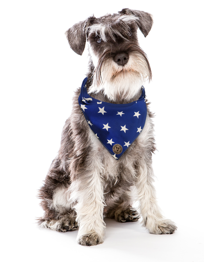 The Portsmouth - Large Stars Royal Blue Tied Dog Bandana