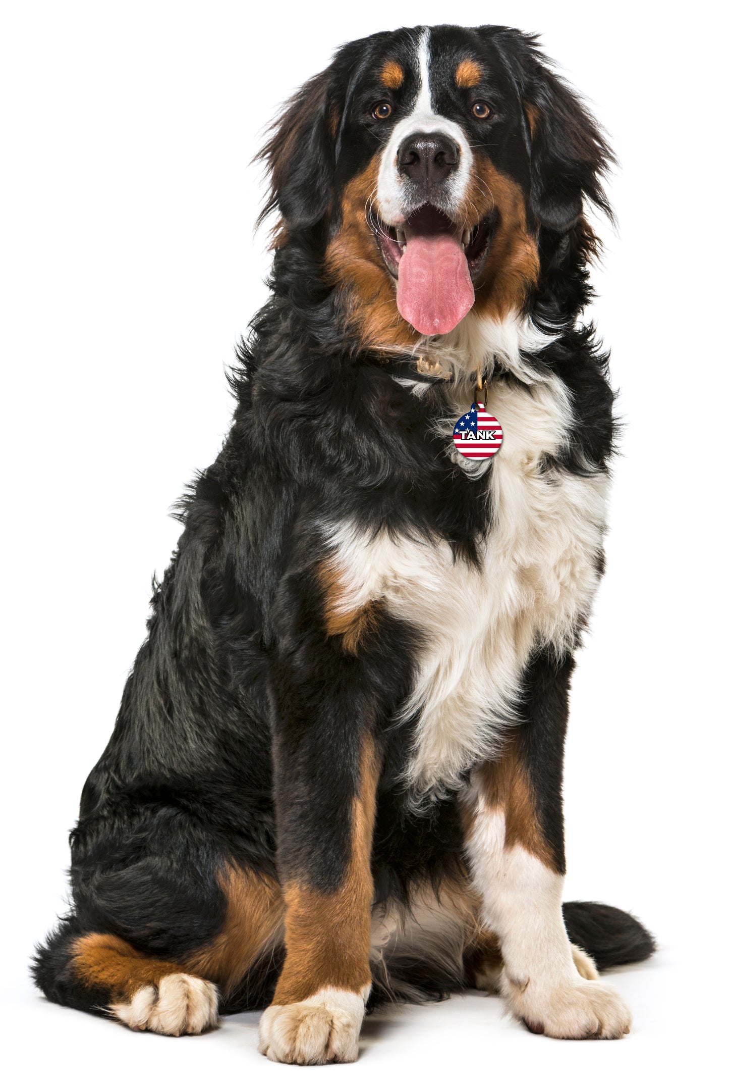 America USA - Pet ID Tag