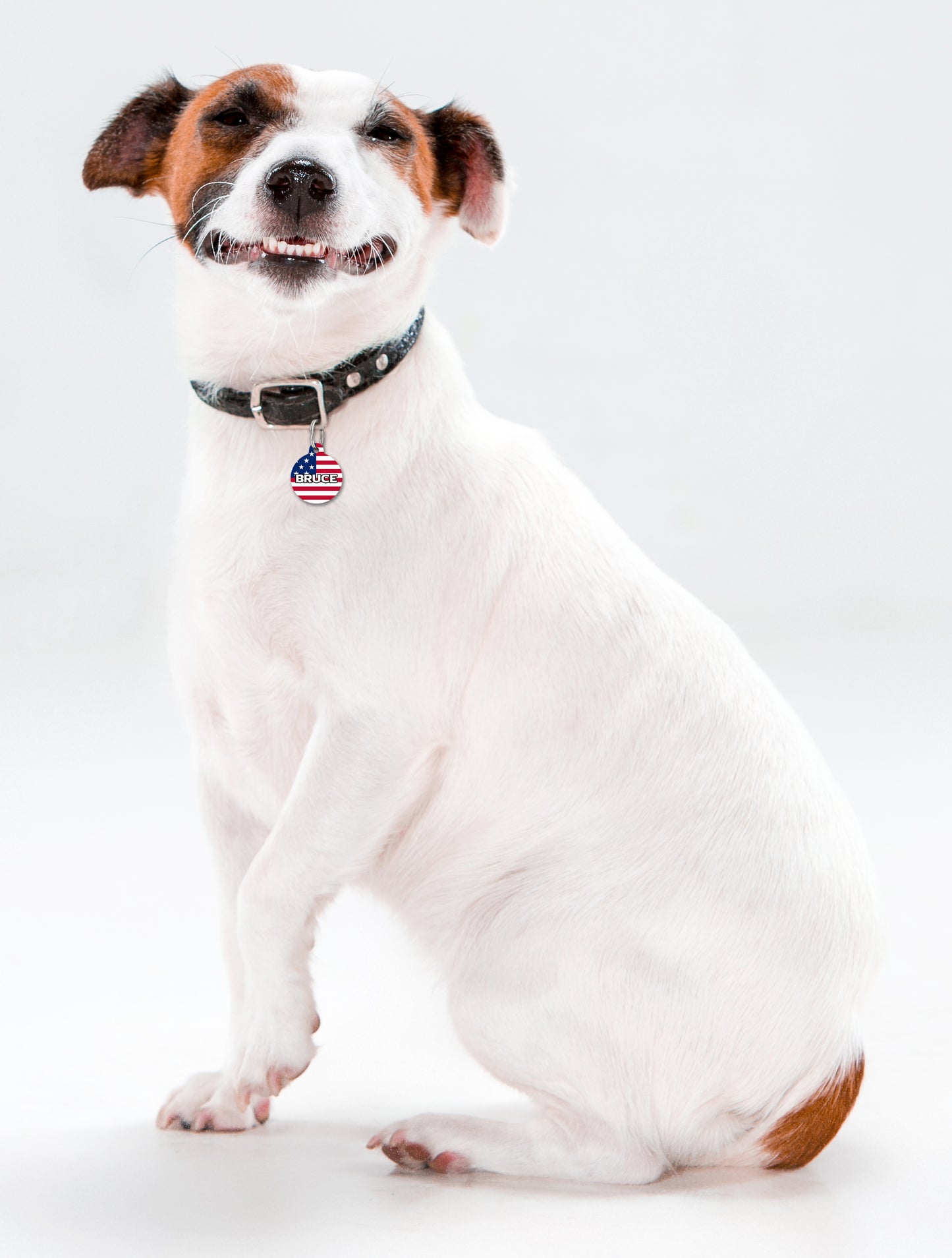 America USA - Pet ID Tag