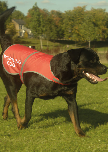 'Working Dog' High Visibility Lightweight Coat