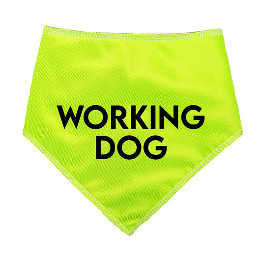 Working Dog Hi Viz Dog Bandana