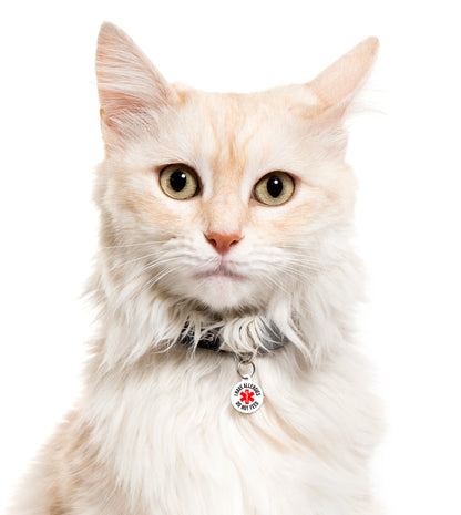 I Have Allergies - Pet ID Tag