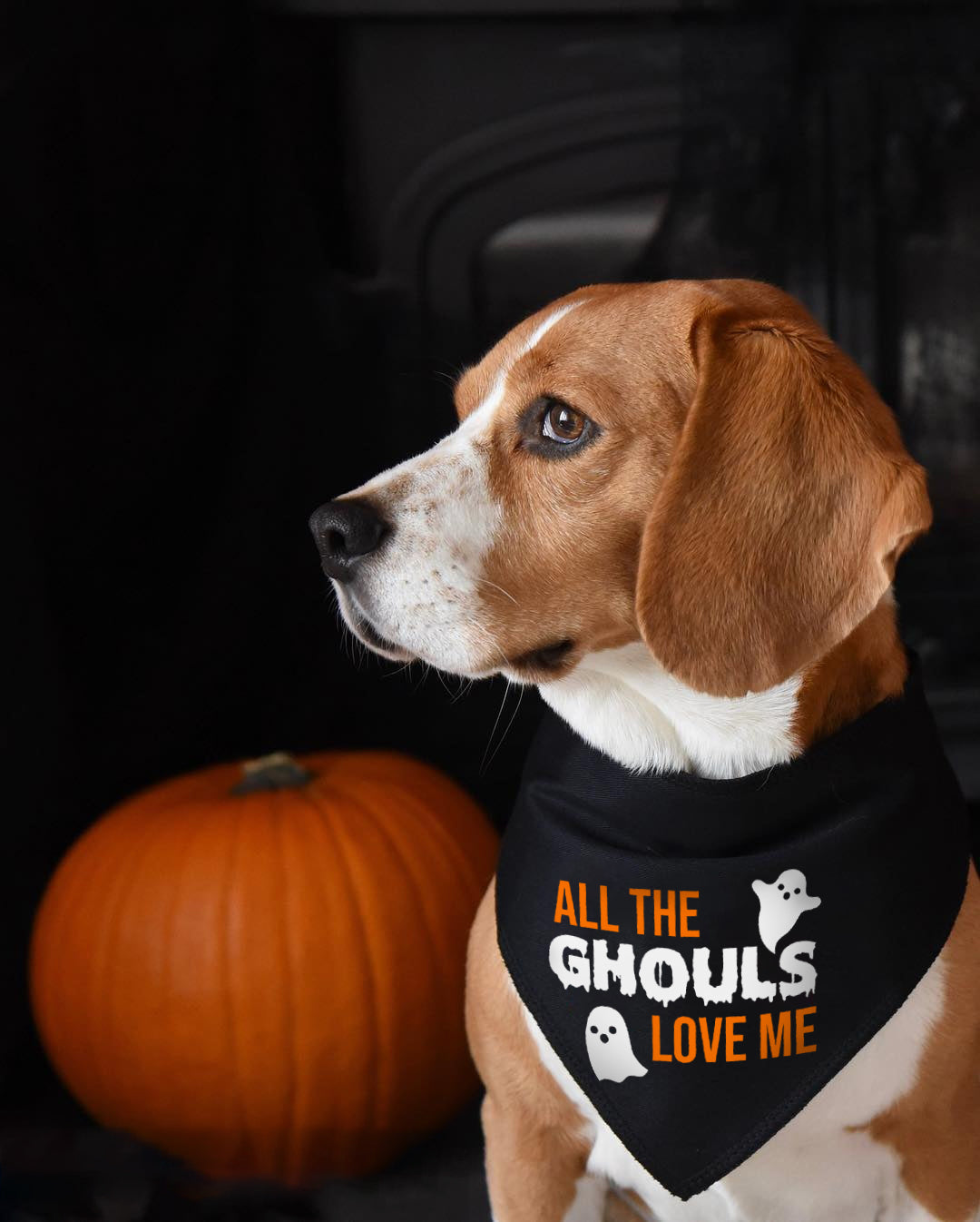 All The Ghouls Love Me Dog Bandana