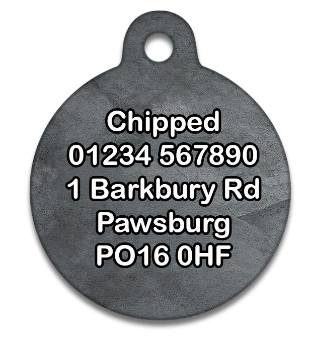 If You Take Me My Dad Will Find You - Pet ID Tag