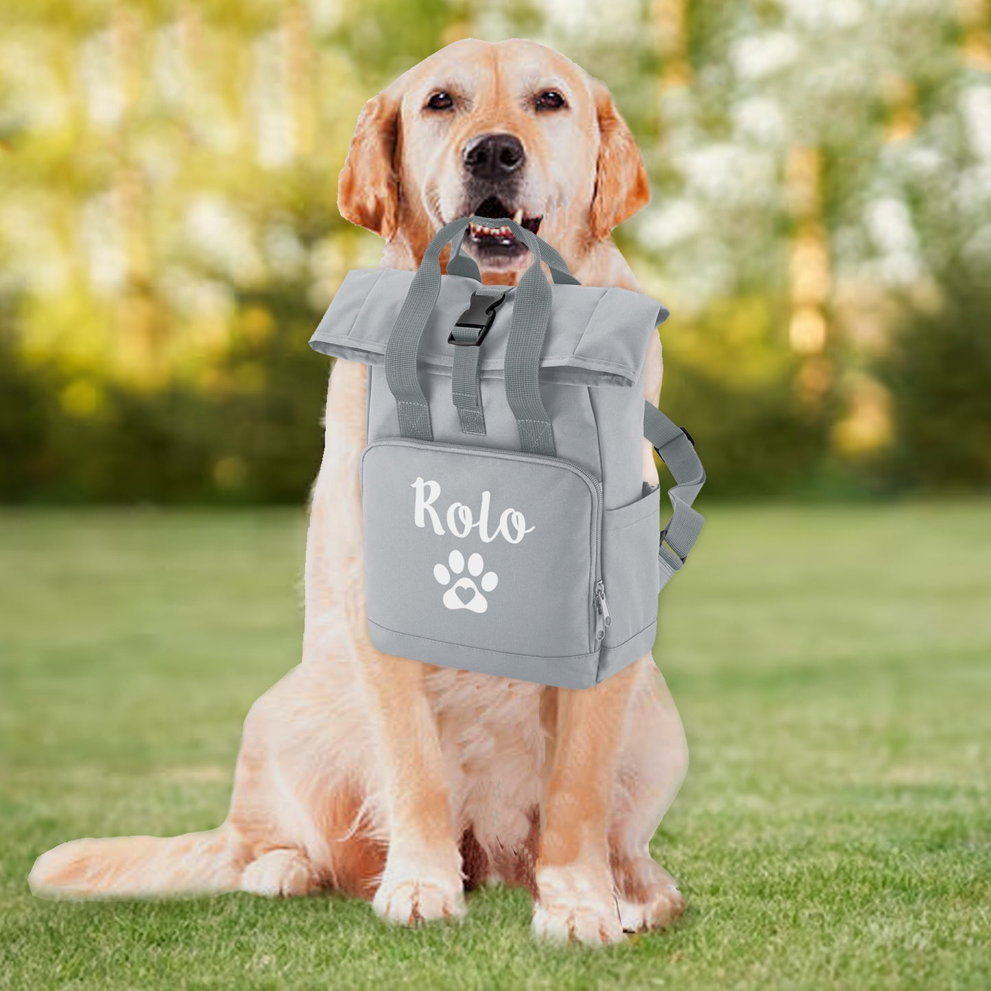 Grey Heart & Paw Backpack With Any Name Or Wording