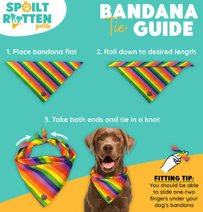 The Brighton - Pride Rainbow Stripe Tied Dog Bandana