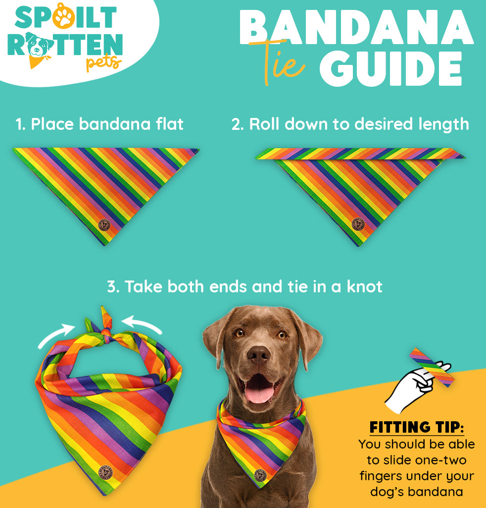 The Soho - Pride Thin Rainbow Tied Dog Bandana