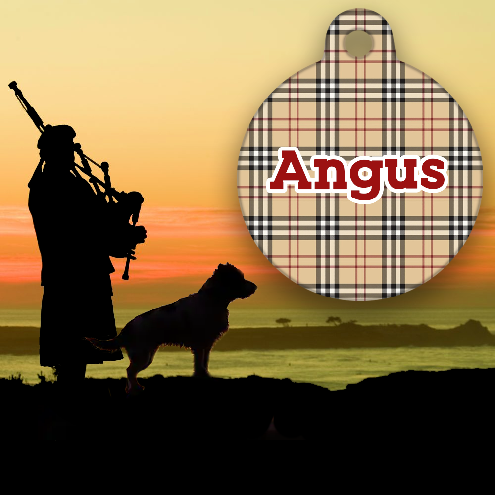 Grr...berry Tartan- Pet ID Tag