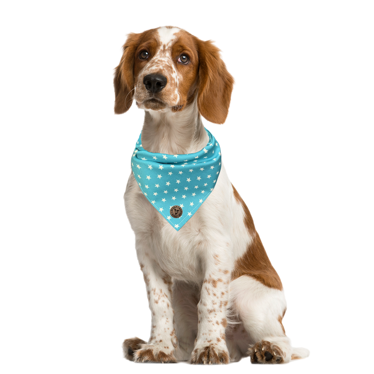 The St Ives - Tiny Star Turquoise Tied Dog Bandana