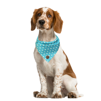The St Ives - Tiny Star Turquoise Tied Dog Bandana