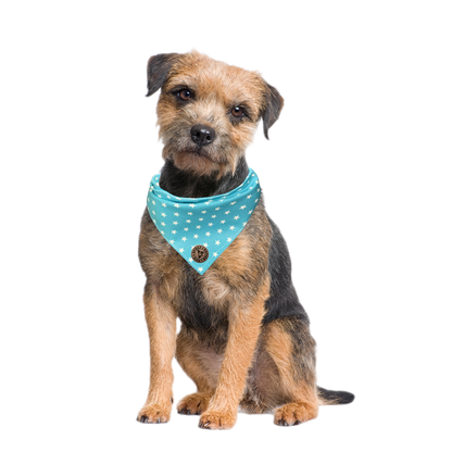 The St Ives - Tiny Star Turquoise Tied Dog Bandana