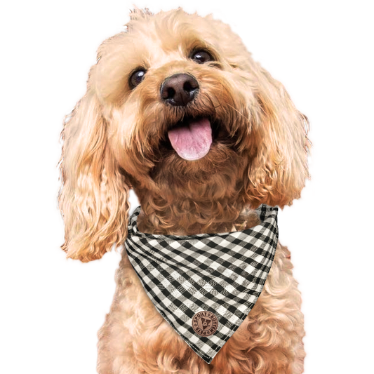 The Derbyshire - Gingham Black Tied Dog Bandana