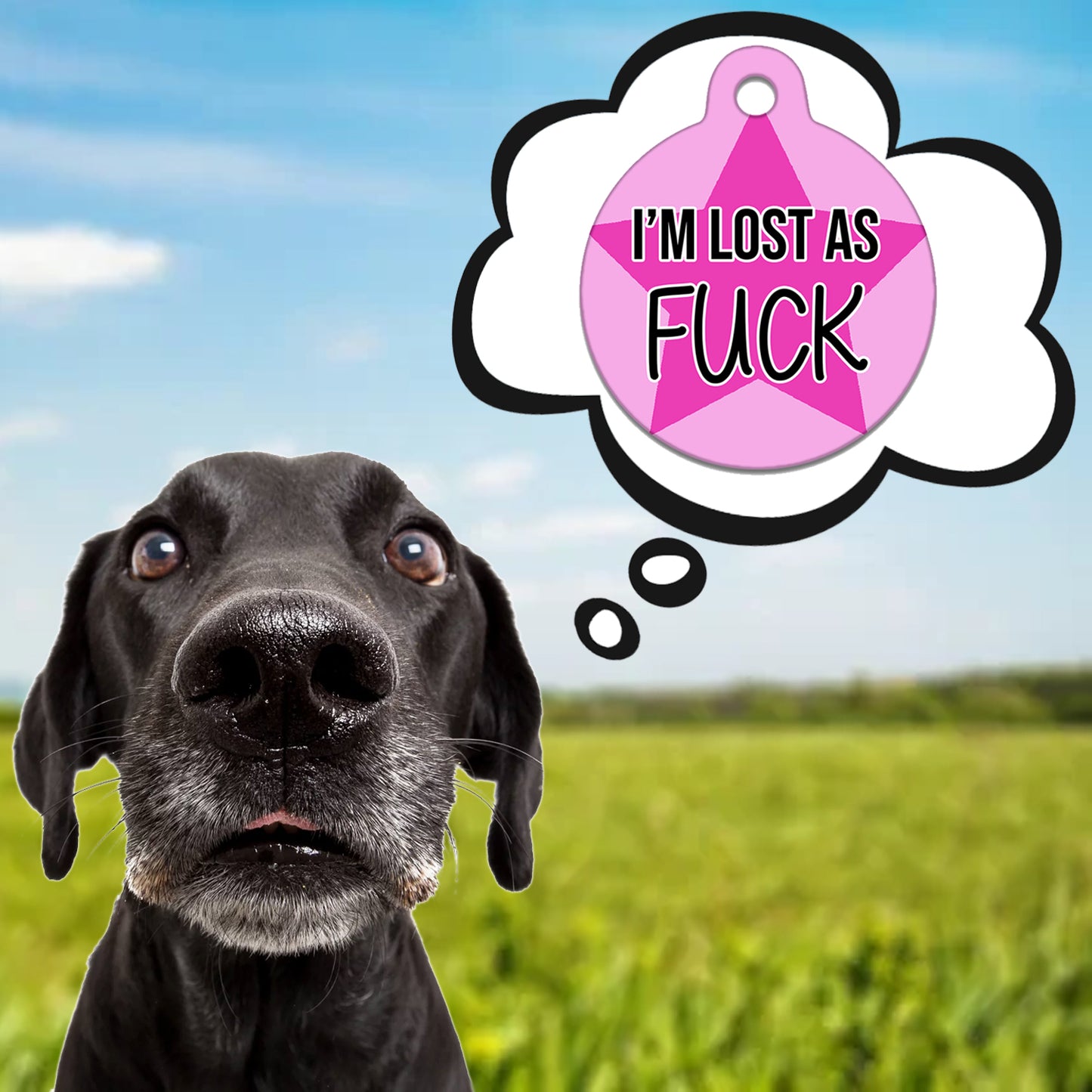 Lost As Fuck Pink - Pet ID Tag
