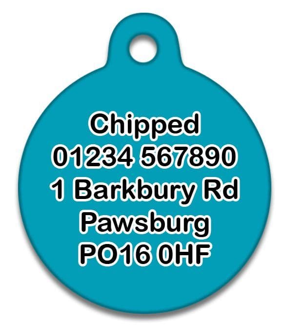 Dub Dog Blue - Cat ID Tag