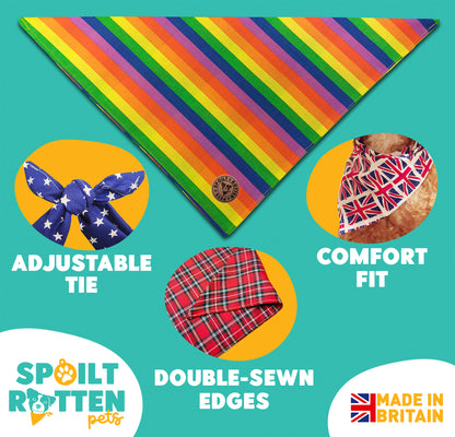 The Brighton - Pride Rainbow Stripe Tied Dog Bandana