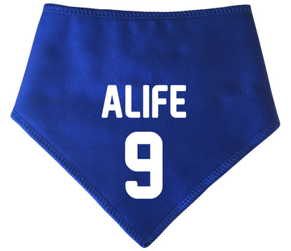 Team Sports Shirt Any Name & Number Dog Bandana