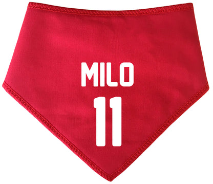 Team Sports Shirt Any Name & Number Dog Bandana