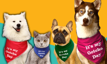 It's My Gotcha Day Dog Bandana