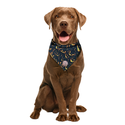 The Burley - Spooky Pumpkin on Black Tied Dog Bandana