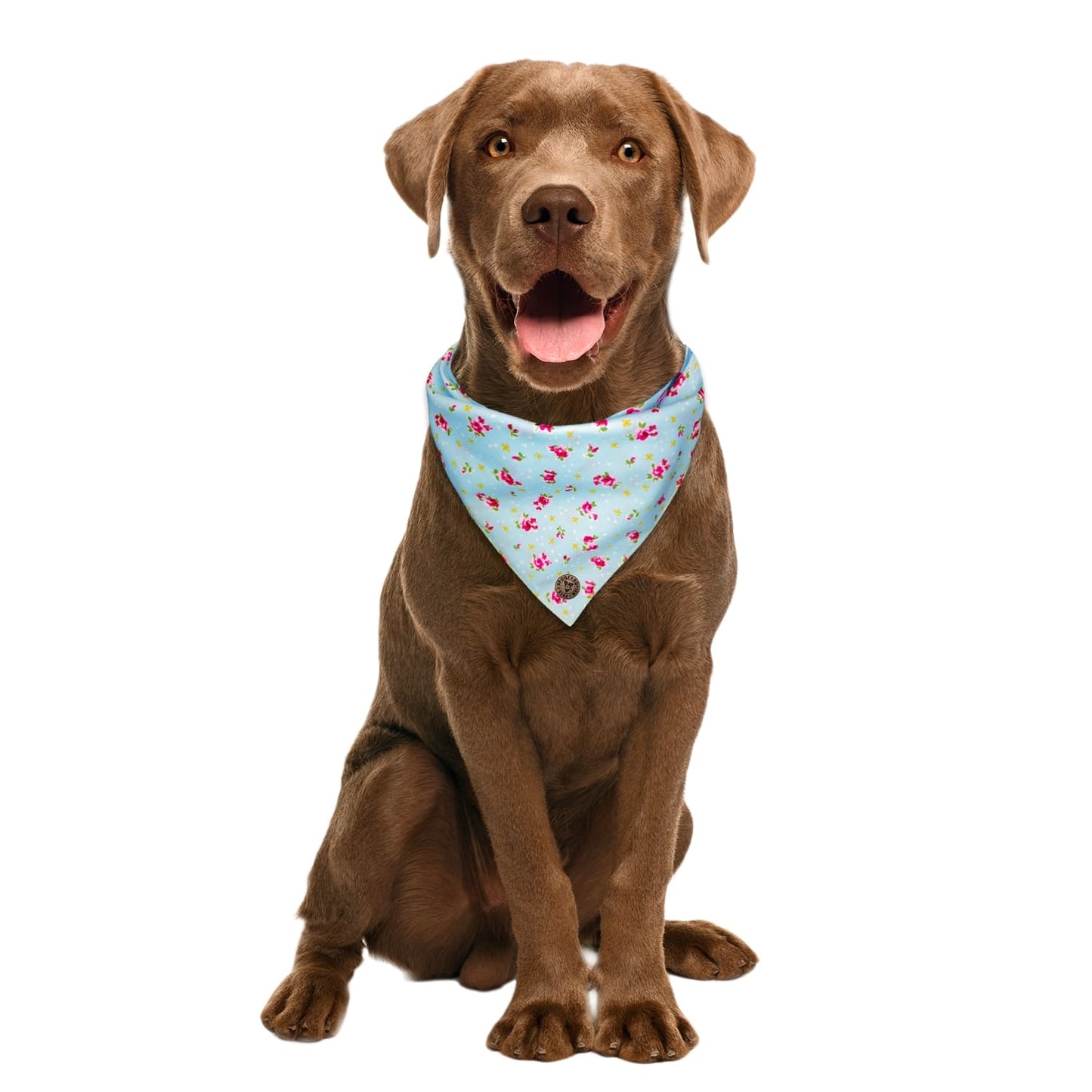 The Somerset - Blue Vintage Rose Dog Bandana