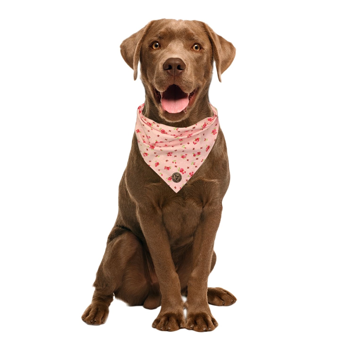 The Chelsea - Pink Vintage Rose Dog Bandana