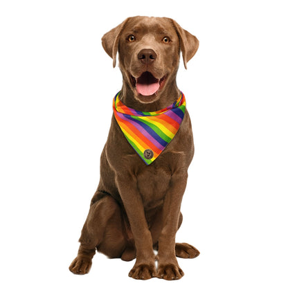 The Brighton - Pride Rainbow Stripe Tied Dog Bandana