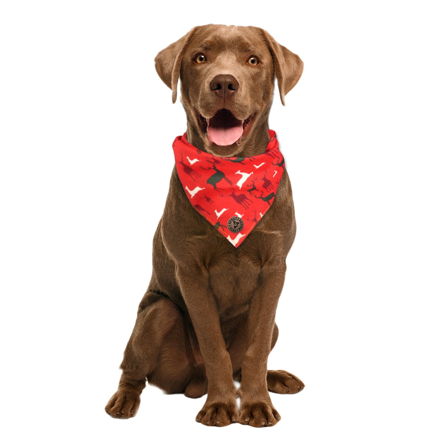 The Camden - Red Stag Tied Dog Bandana
