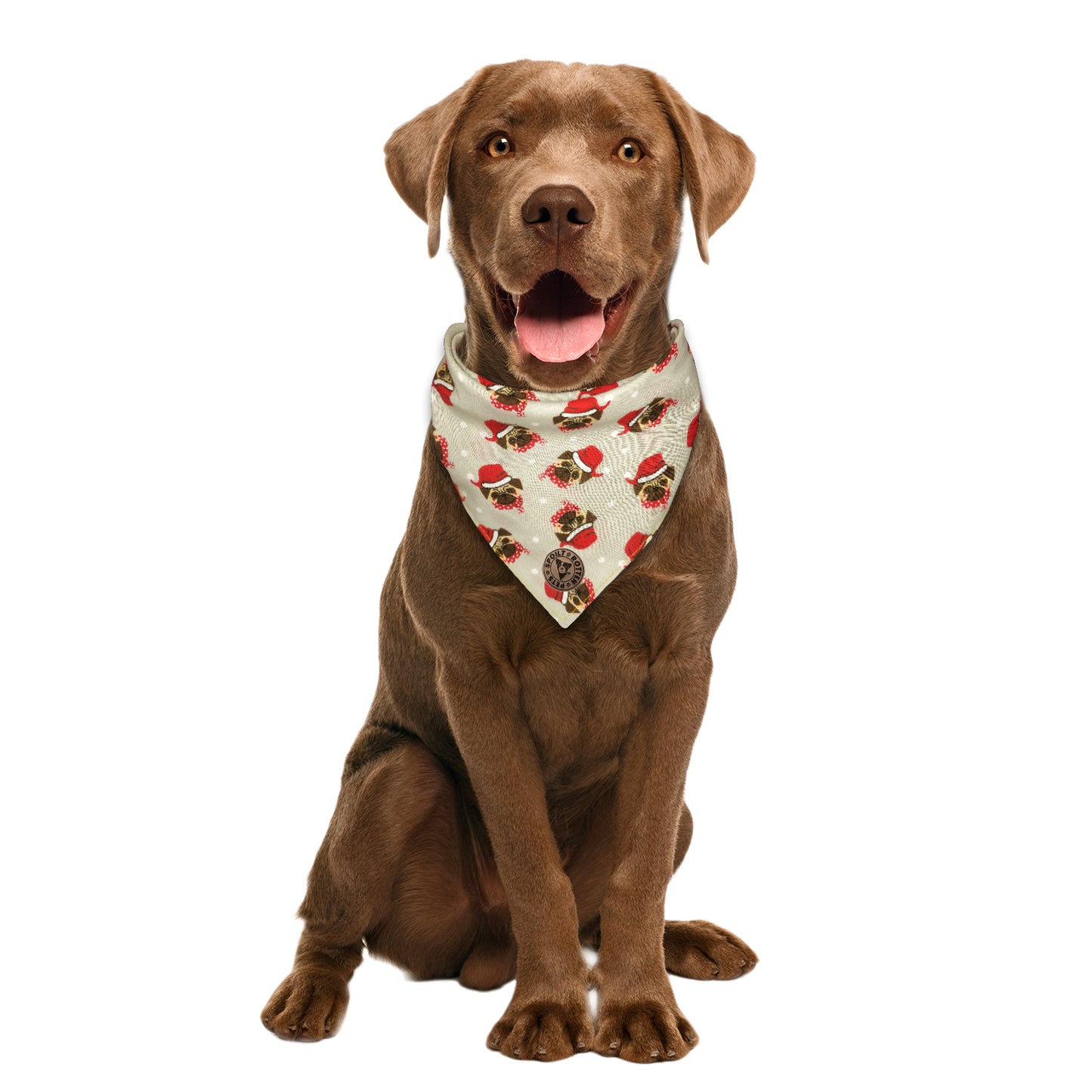 The Carnaby - Christmas Pugs Tied Dog Bandana