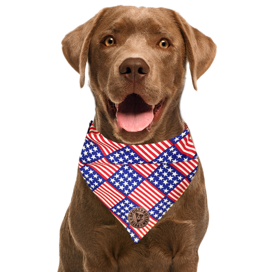 The Washington - American Flag Tied Dog Bandana